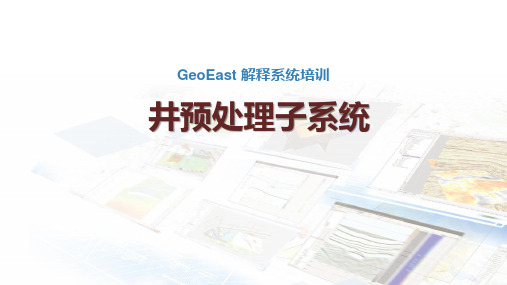 03geoeast软软件井预处理