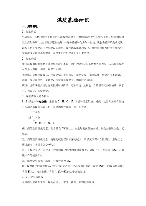 煤质基础知识