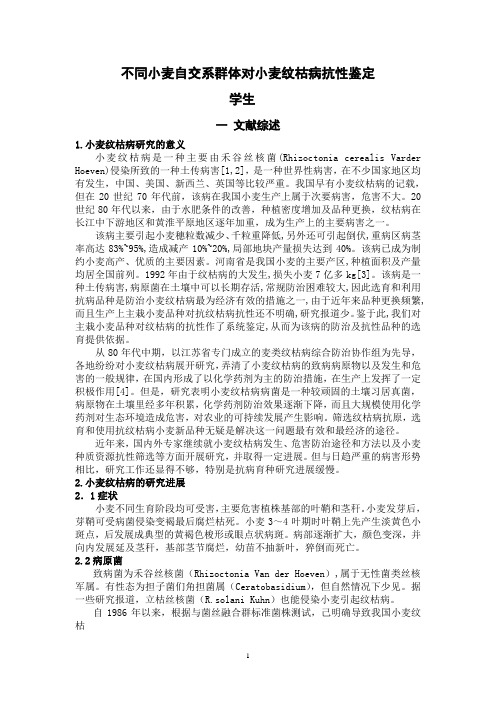 不同小麦自交系群体对小麦纹枯病抗性鉴定
