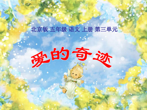五年级语文爱的奇迹1(中学课件201910)