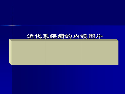 胃镜常见病教学图片ppt课件
