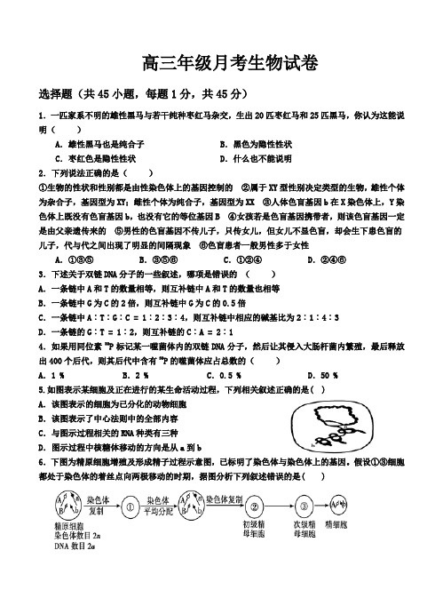 河北省衡水市冀州中学2015届高三上学期第三次月考生物试题及答案