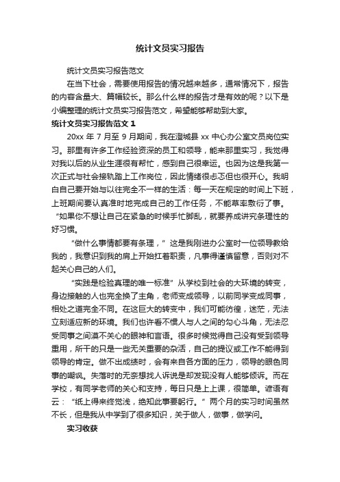 统计文员实习报告范文