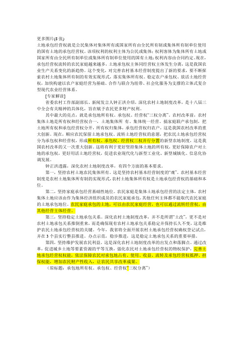 三权分立