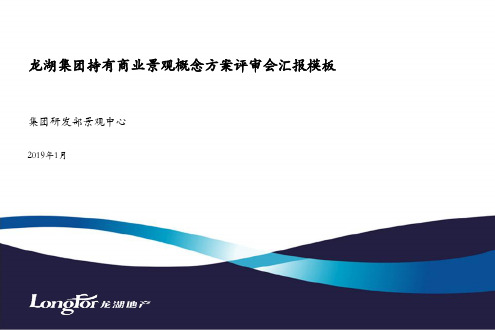 龙湖自持商业项目景观概念方案评审会汇报模板2019版