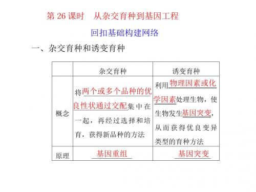 高三生物一轮复习课件(人教版)：第7单元  第26课时从杂交育种到基因工程