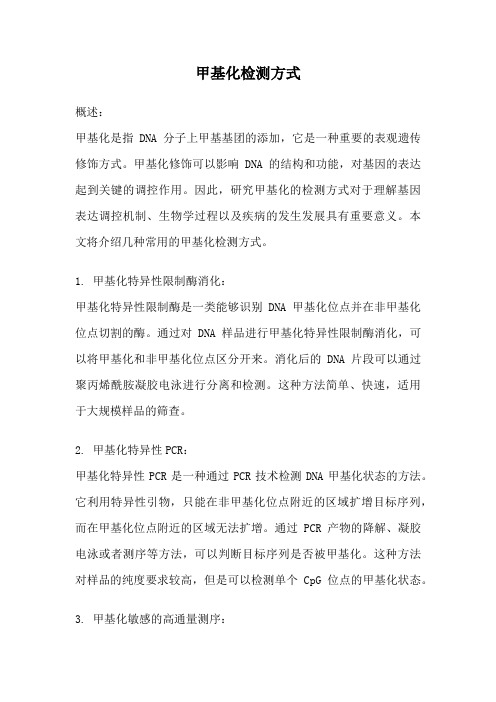 甲基化检测方式