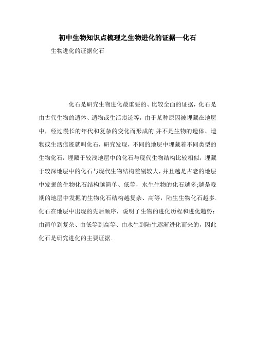 初中生物知识点梳理之生物进化的证据—化石