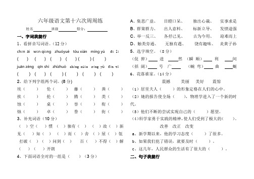 六年级语文下册第16周练习题.doc