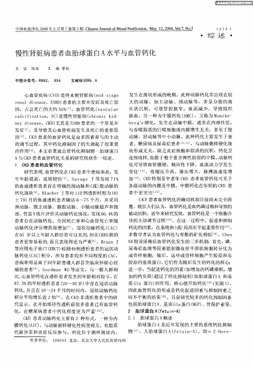 慢性肾脏病患者血胎球蛋白A水平与血管钙化