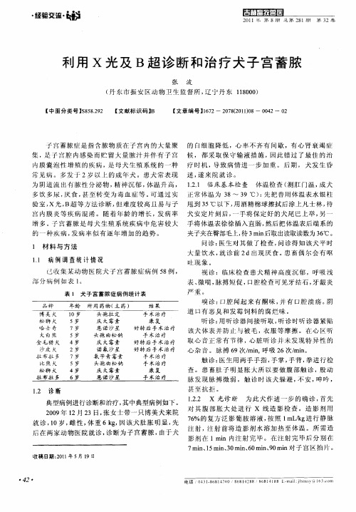 利用X光及B超诊断和治疗犬子宫蓄脓