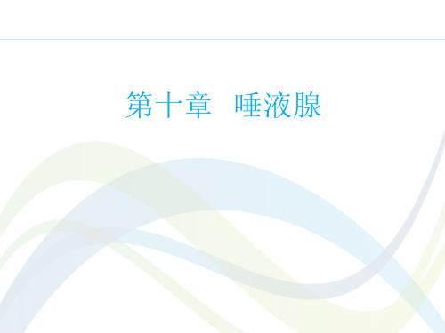 局部解剖学课件：第十章 唾液腺