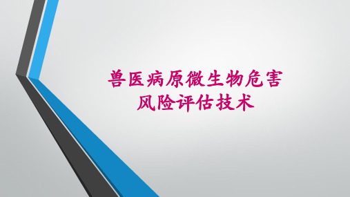 实验风险评估