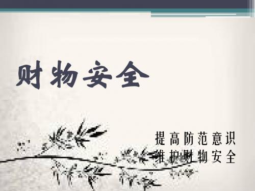 财物安全