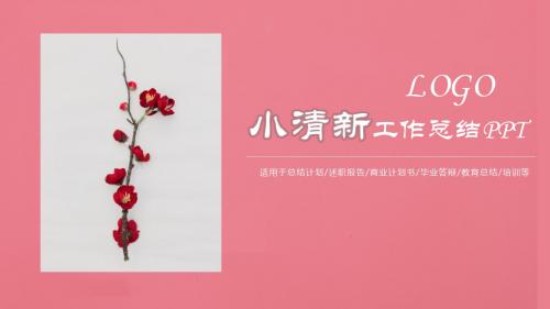 小清新文艺工作总结计划PPT模板