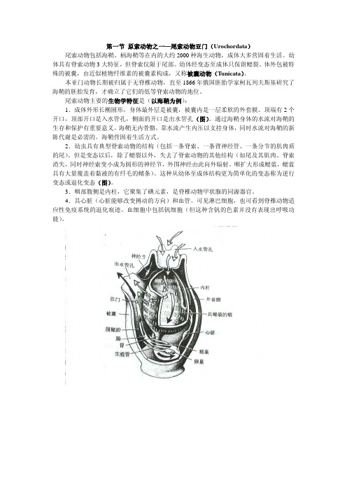 动物生物学教案18