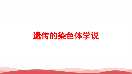 高中生物遗传的染色体学说PPT课件