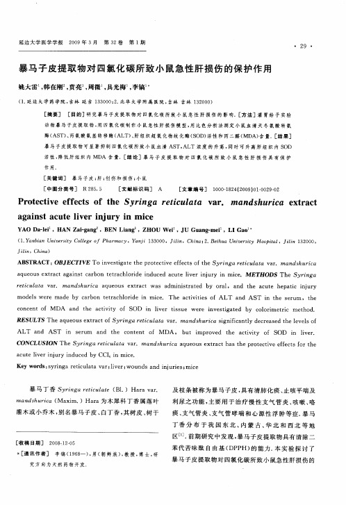 暴马子皮提取物对四氯化碳所致小鼠急性肝损伤的保护作用