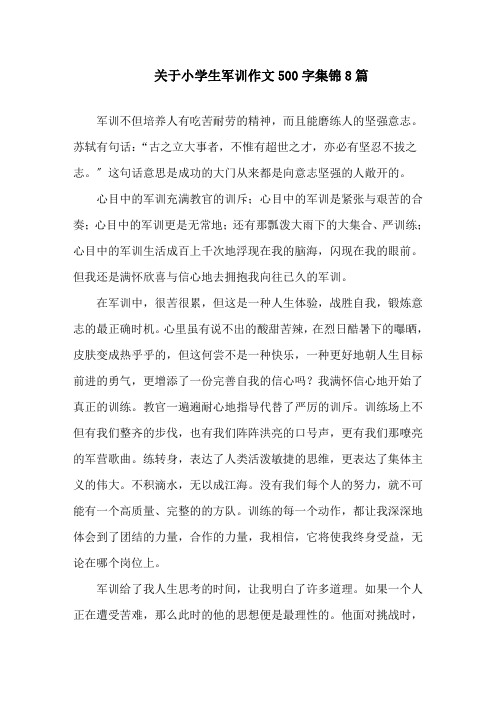 关于小学生军训作文500字集锦8篇范文精选