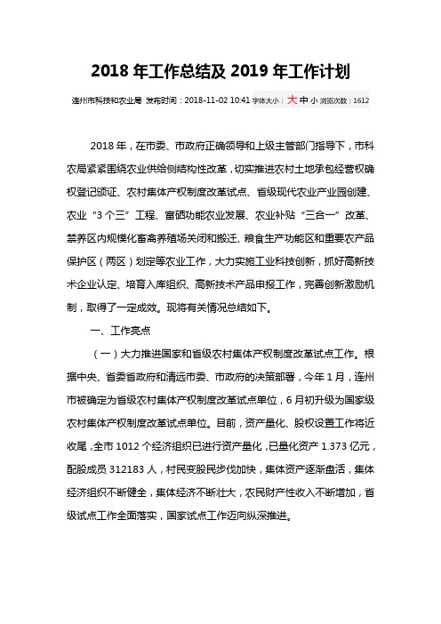 连州市2018年工作总结及2019年工作计划