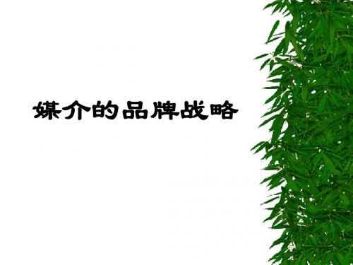 媒介的品牌战略