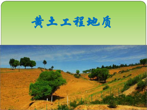 黄土工程地质(1)