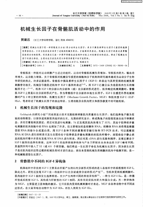 机械生长因子在骨骼肌活动中的作用