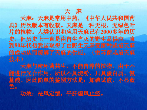 天麻