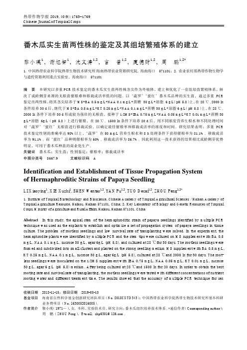 番木瓜实生苗两性株的鉴定及其组培繁殖体系的建立