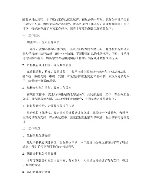事业单位统计总结范文