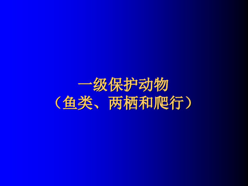 重点保护动物