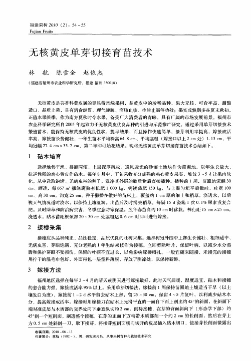 无核黄皮单芽切接育苗技术