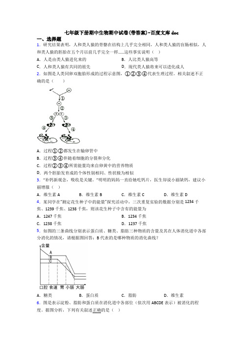 七年级下册期中生物期中试卷(带答案)-百度文库doc