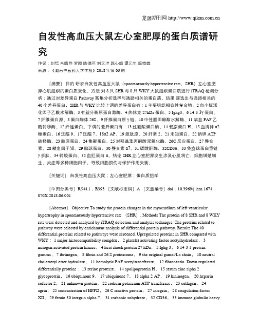 自发性高血压大鼠左心室肥厚的蛋白质谱研究