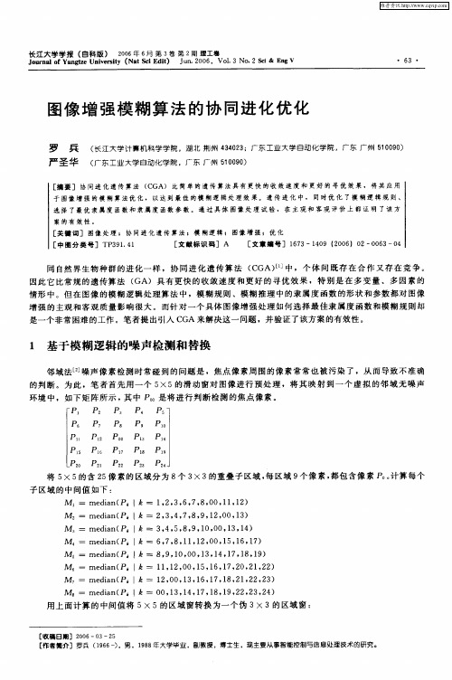 图像增强模糊算法的协同进化优化