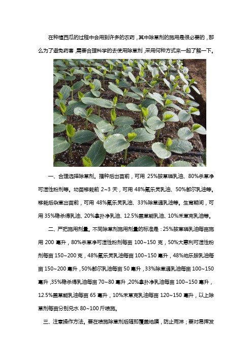 西瓜专用苗后除草剂怎么使用