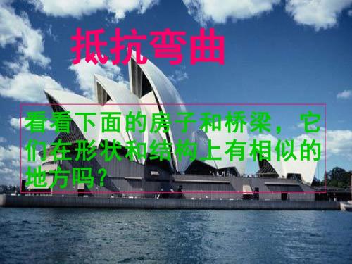 1、《抵抗弯曲》PPT