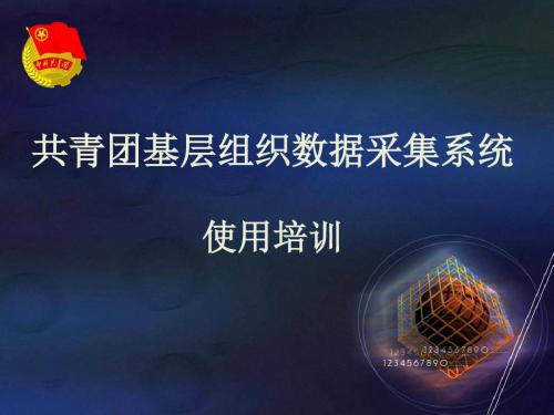 共青团信息采集培训ppt课件