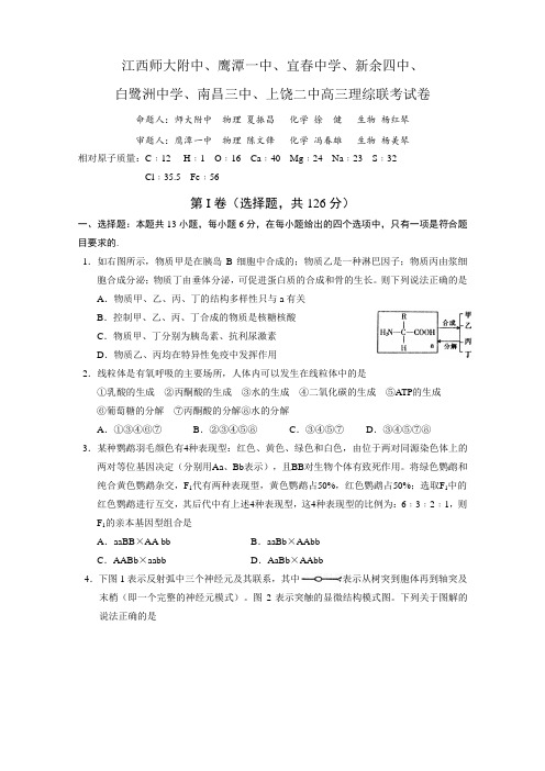 江西省师大附中等重点学校2011届高三联考试卷(理综)