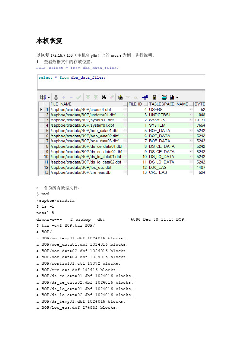 NBU NetBackup 恢复Oracle