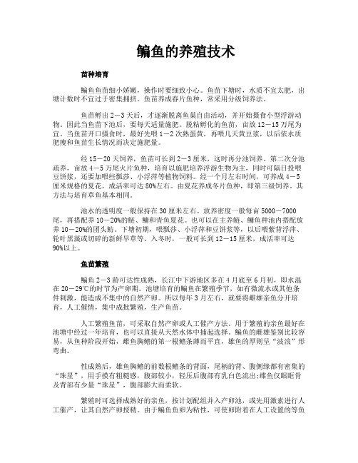 鳊鱼的养殖技术