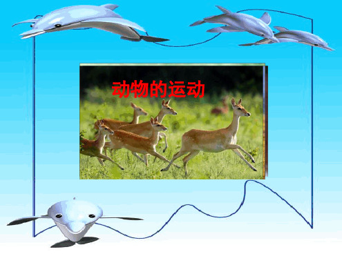 432动物的运动课件济南版七年级上