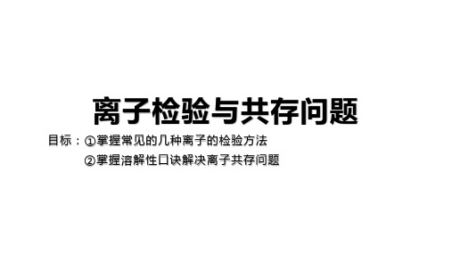 人教版九年级化学下册专题复习：离子的检验与共存问题优秀课件资料