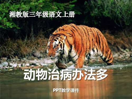 湘教版语文三上《动物治病办法多》PPT课件