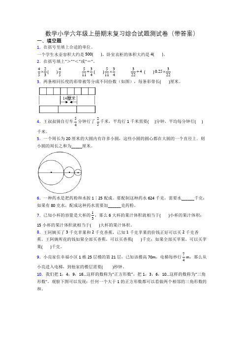 数学小学六年级上册期末复习综合试题测试卷(带答案)