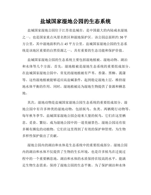 盐城国家湿地公园的生态系统