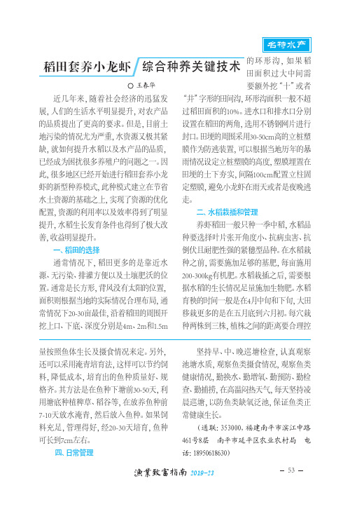 稻田套养小龙虾综合种养关键技术