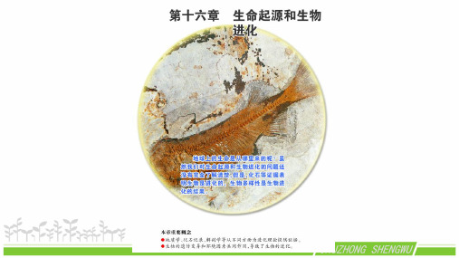 161生命的诞生课件-苏教版八年级生物上册