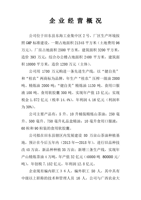 企业经营概况