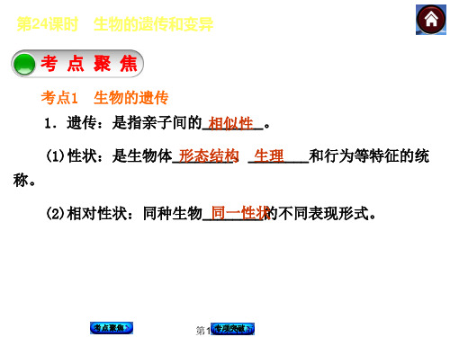 生物中考总复习件时生物遗传和变异